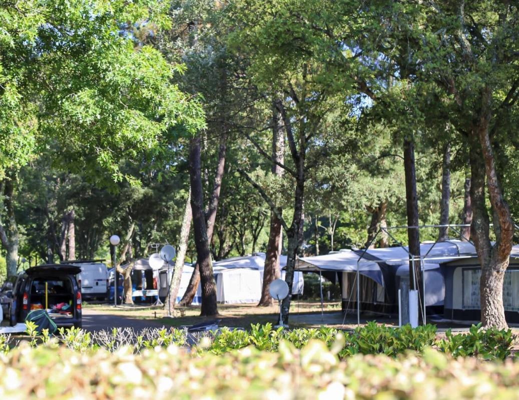 Camping Nature l'Airial **** — Cámping in Soustons