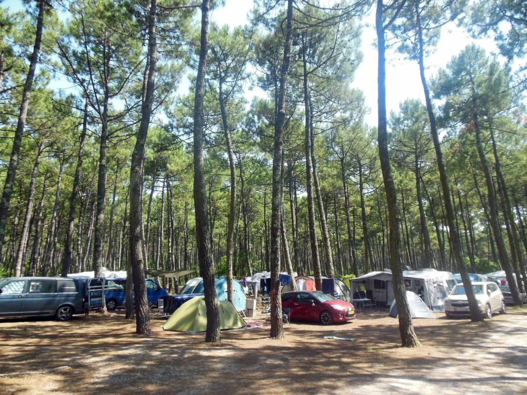 Camping Bremontier — Kemp in Lège-Cap-Ferret / Nouvelle-Aquitaine