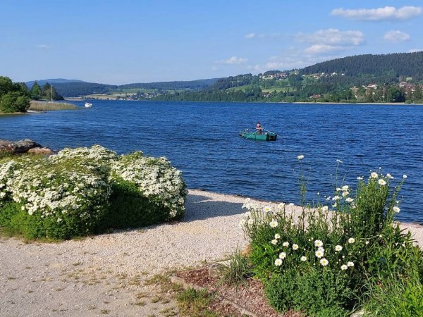 Camping Municipal — Photo 2