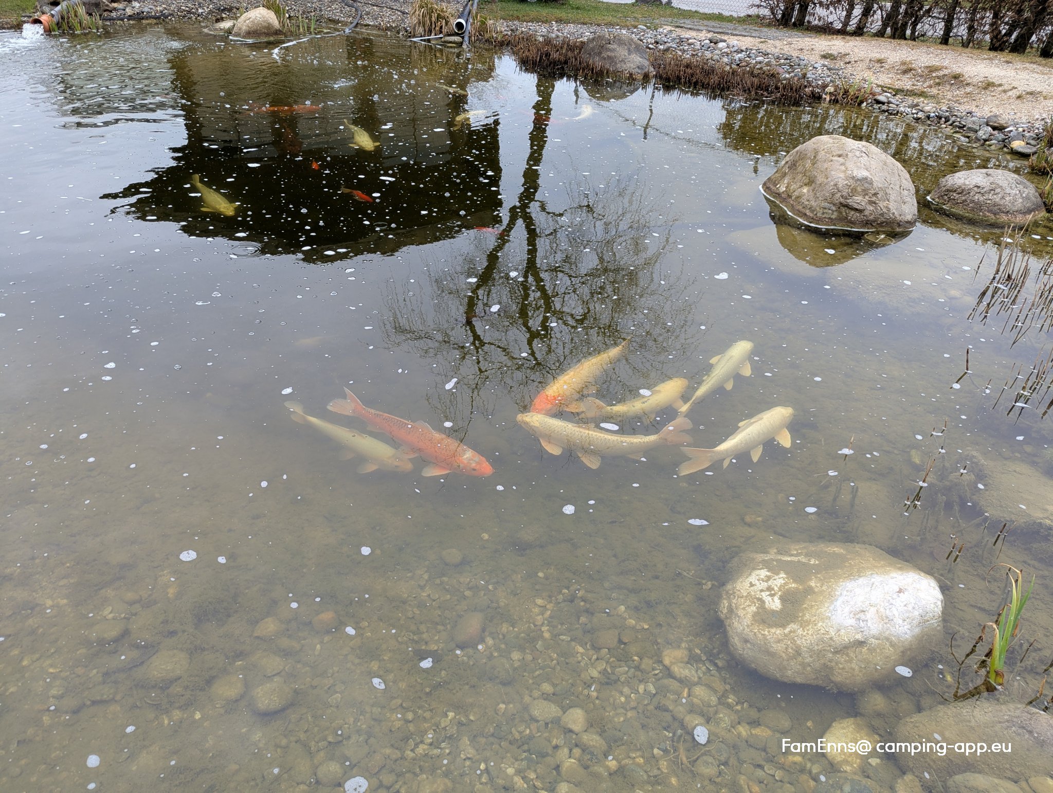 Stellplatz am Tenniszentrum Bernau — Foto 2