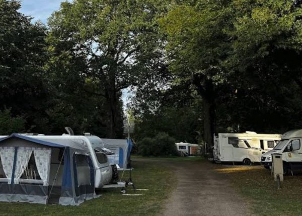 Camping Municipal Veuzain-sur-Loire — Foto 2
