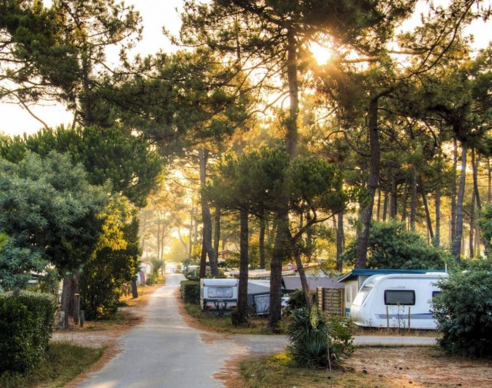 CHM Montalivet (Naturisten Camping) — Sítio de acampamento in Vendays-Montalivet