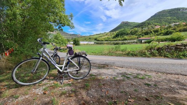 Camping Le Papillon — Photo 6