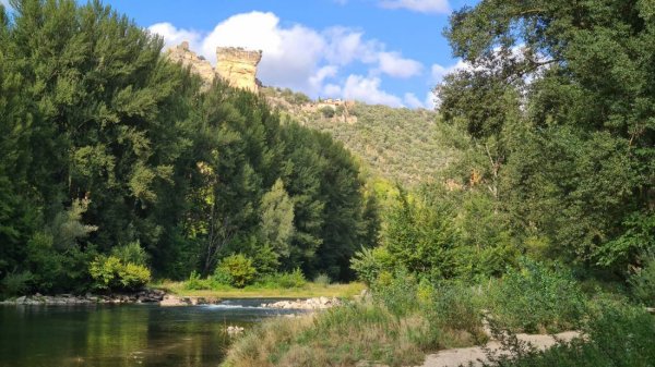 Camping Le Papillon — Zdjęcie 6