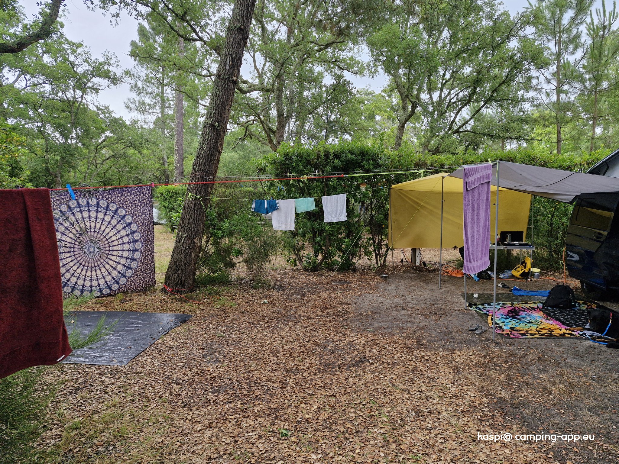 Camping Landes cicadas — Foto 2