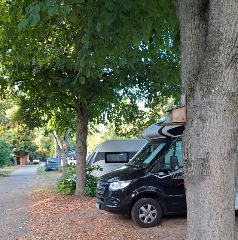 Camping Beau Rivage — Campingplass in Gunsbach