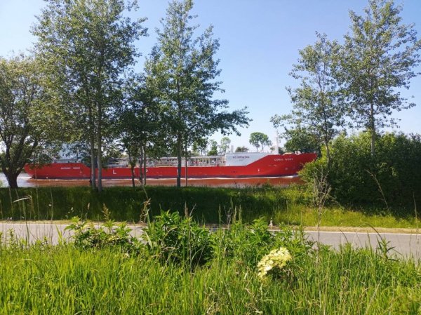 Wohnmobilhafen am Flugplatz — Foto 6
