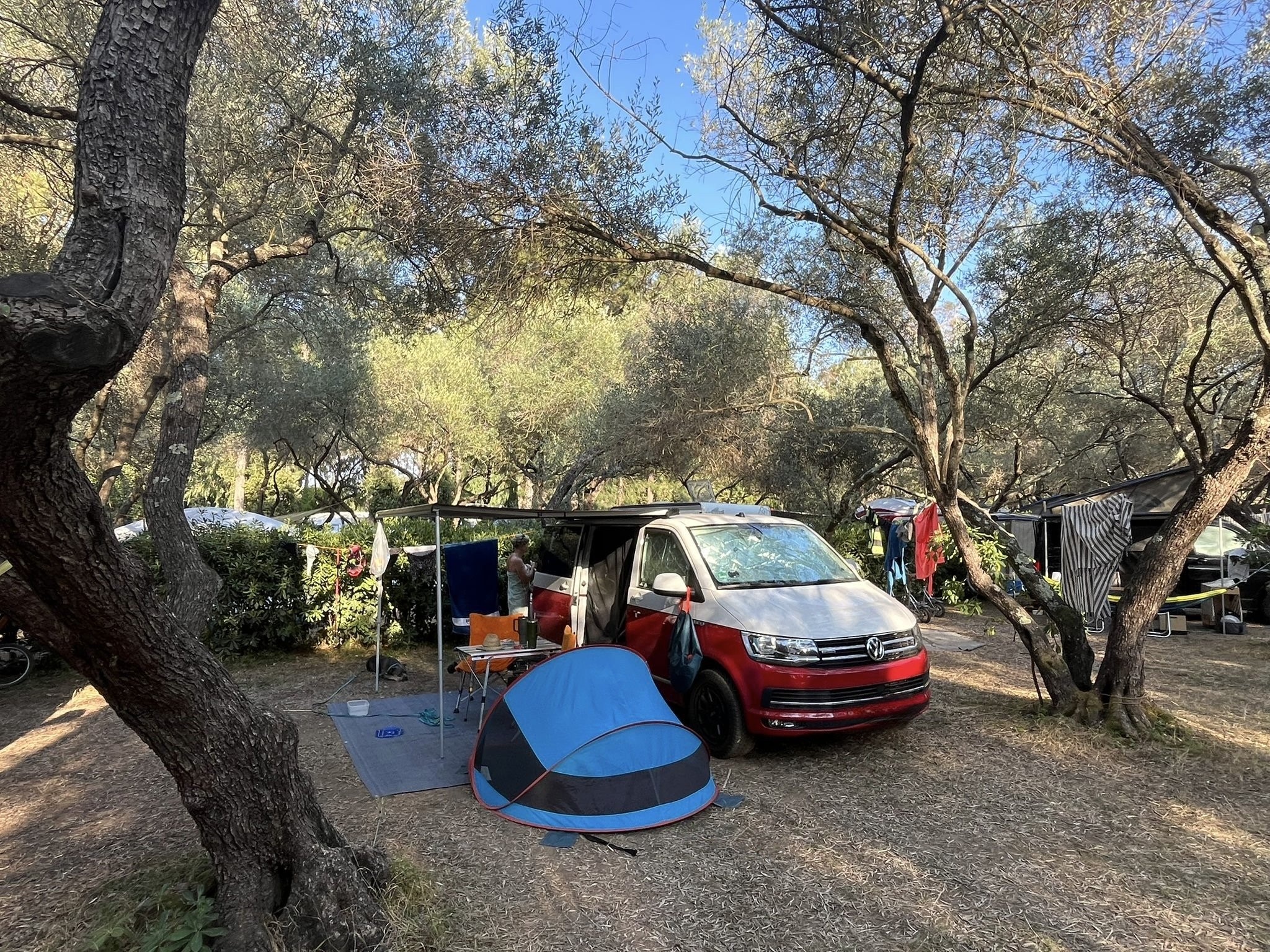 Camping Calamar — Sítio de acampamento in Cervione / Corse