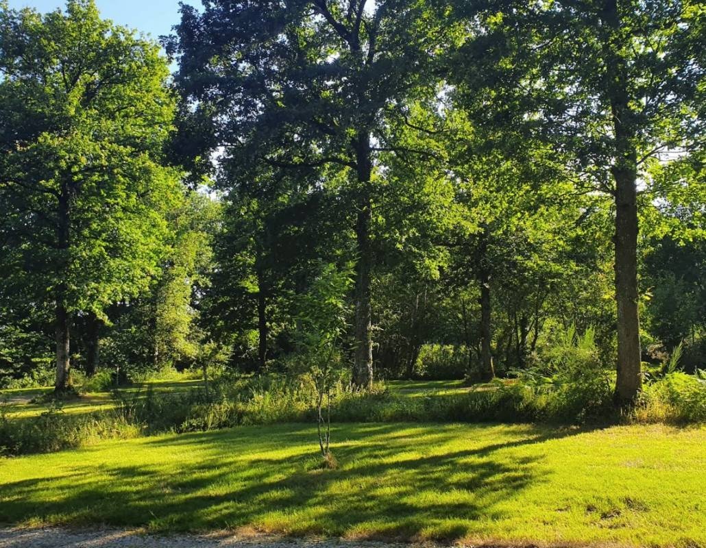 Camping du Bois St Hilaire — Kemp in Chalandray / Nouvelle-Aquitaine