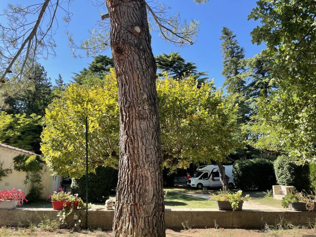 Camping de Grignan — Camping in Grignan / Auvergne-Rhône-Alpes