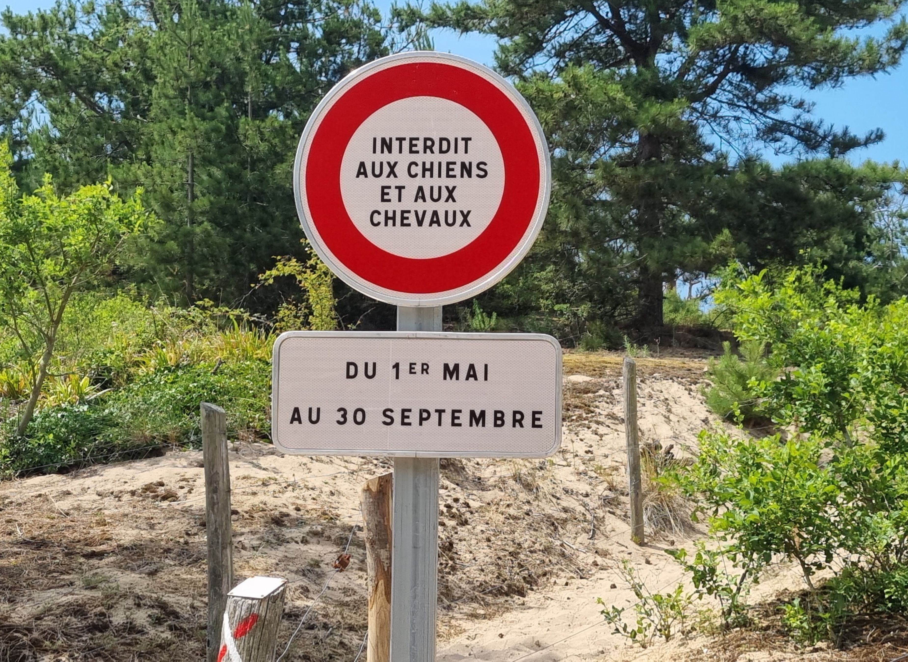 Camping Du Pont de l'Étang — Campingplads in Fréhel / Bretagne