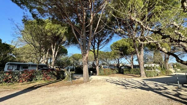 Camping Municipal Bellerive **