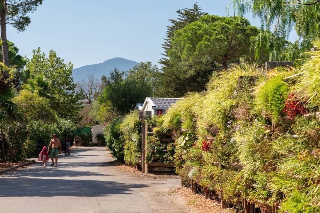 Camping Holidays Argeles — Camping in Argelès-sur-Mer / Occitanie