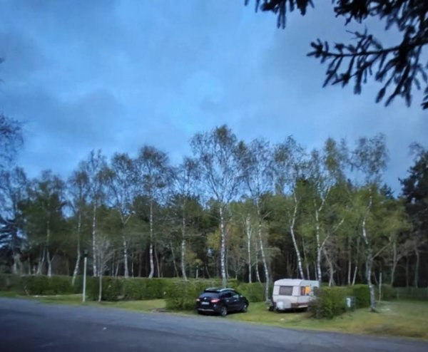 Camping Municipal Gelles — Photo 5