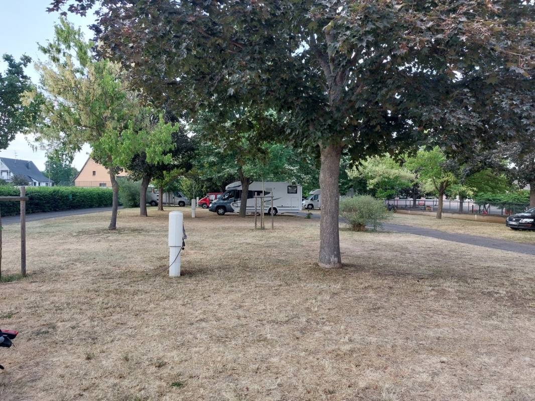 Camping Municipal — Kemp in Rouffach