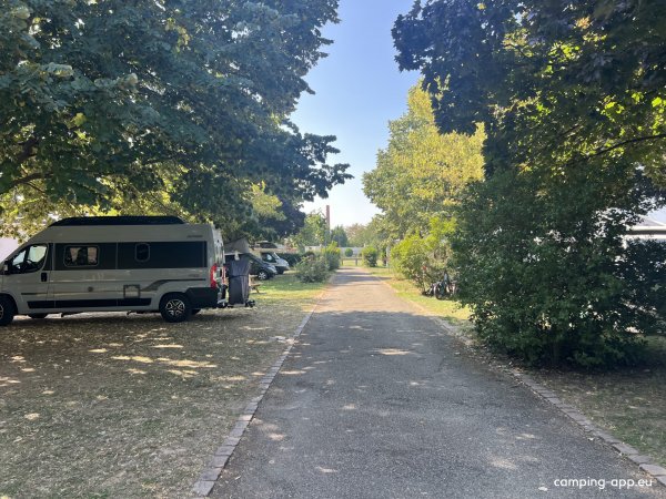 Camping Municipal — Photo 2