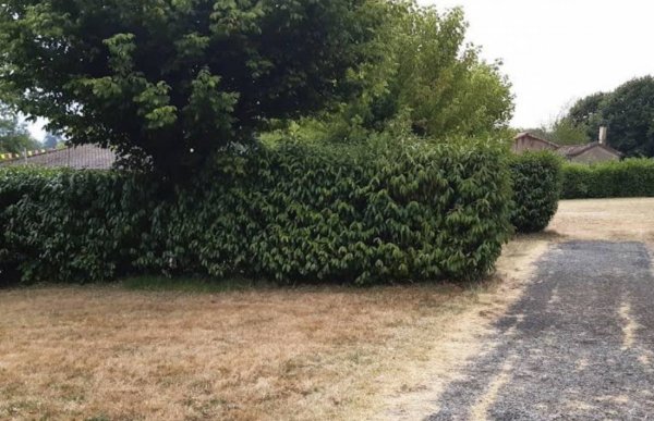 Camping Lougratte *** — Photo 5