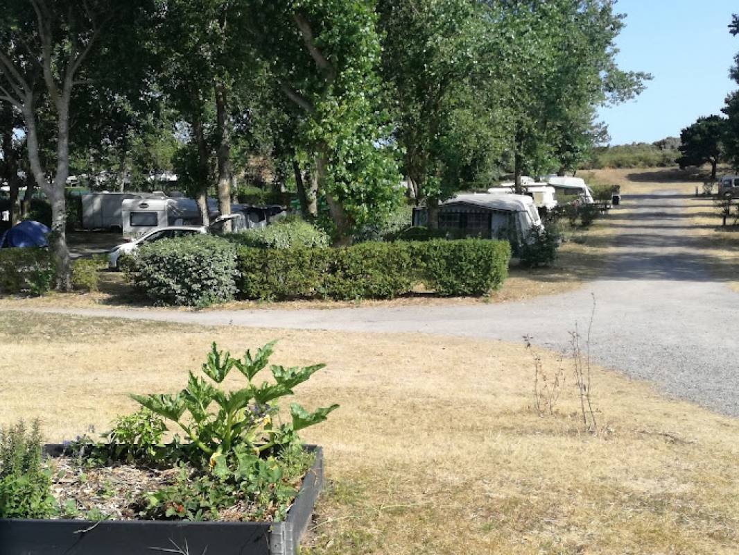 G.C.U (Group Campeurs University) — Kamp yeri in Oye-Plage / Hauts-de-France