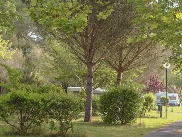 Camping Bel Air Village – Le Lac de Cazaux ** — Photo 3