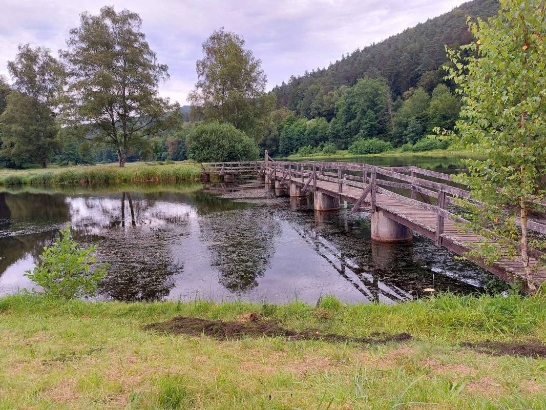 Camping du Fleckenstein — Місце для кемпінгу in Lembach / Grand Est