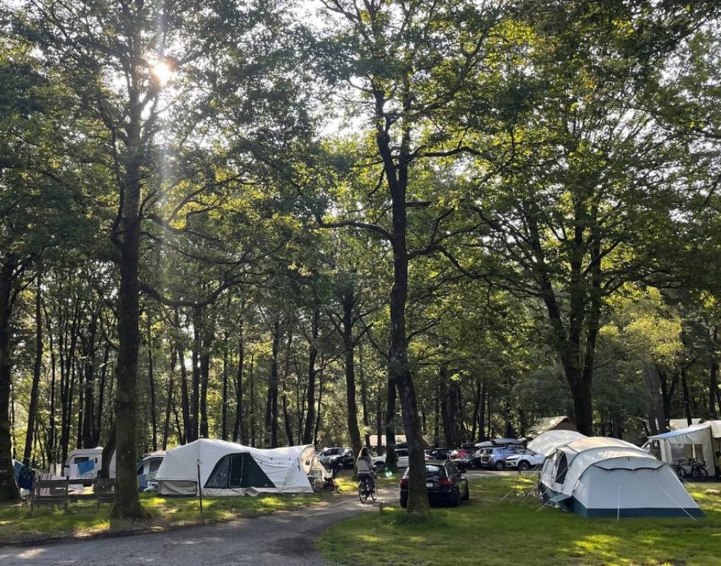 Camping Huttopia Lac de Sillé — Campingplass in Sillé-le-Guillaume 