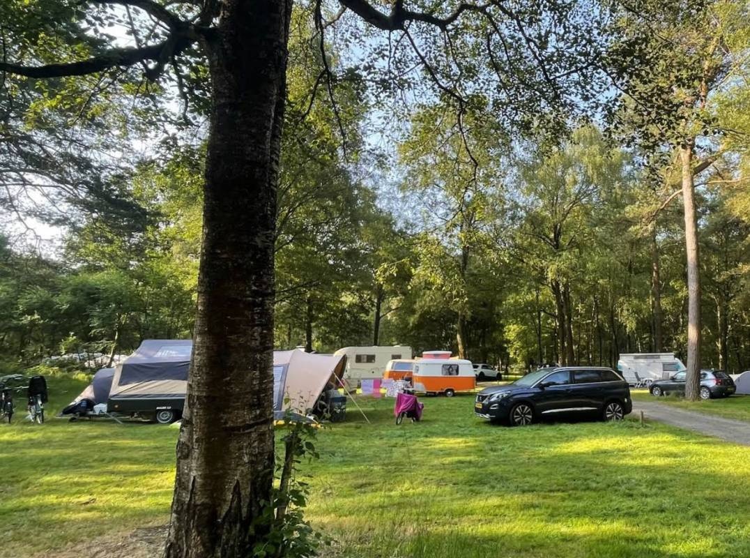 Camping Huttopia Lac de Sillé — Kemp in Sillé-le-Guillaume 