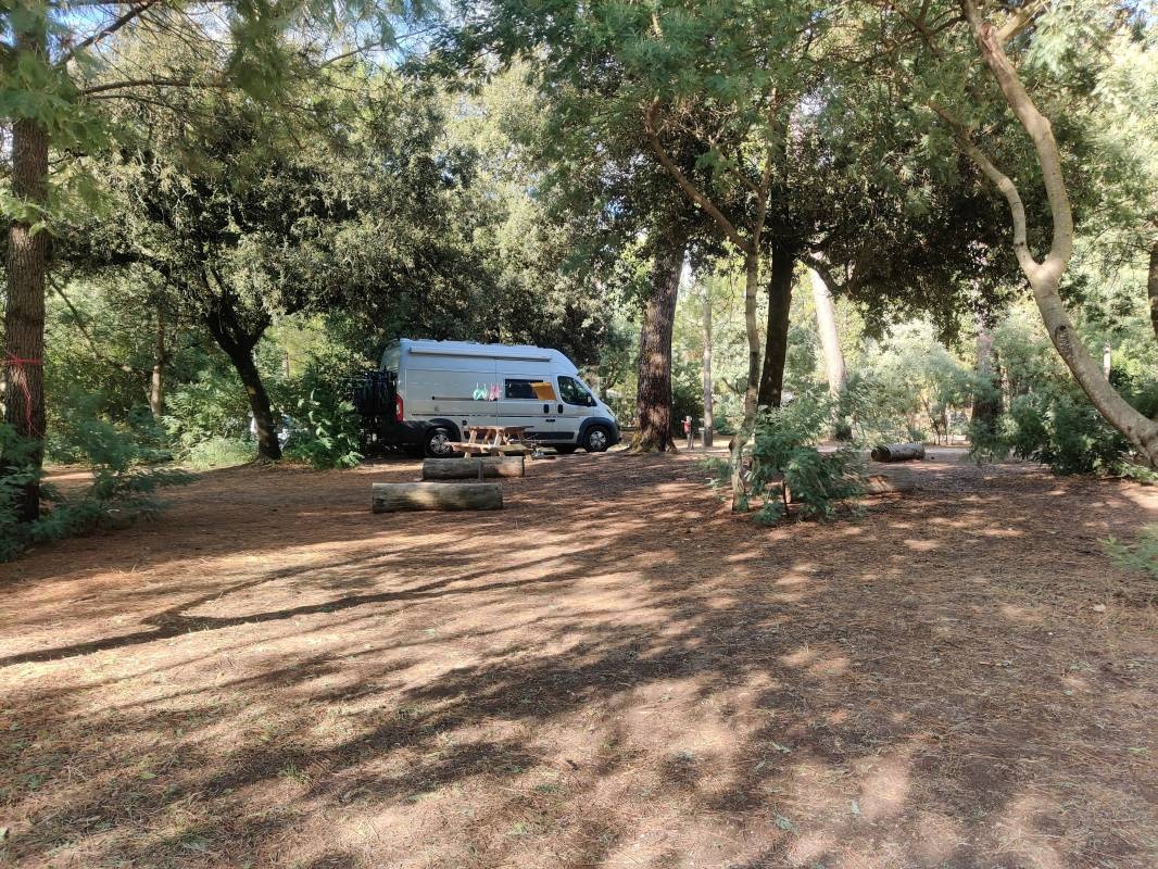 Camping Huttopia Oléron Les Pins — Kemp in Saint-Trojan-les-Bains / Nouvelle-Aquitaine