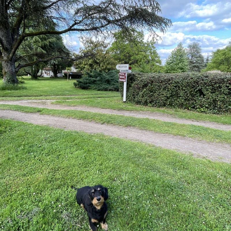 Camping Vive la Vie — Camping in La Coquille / Nouvelle-Aquitaine