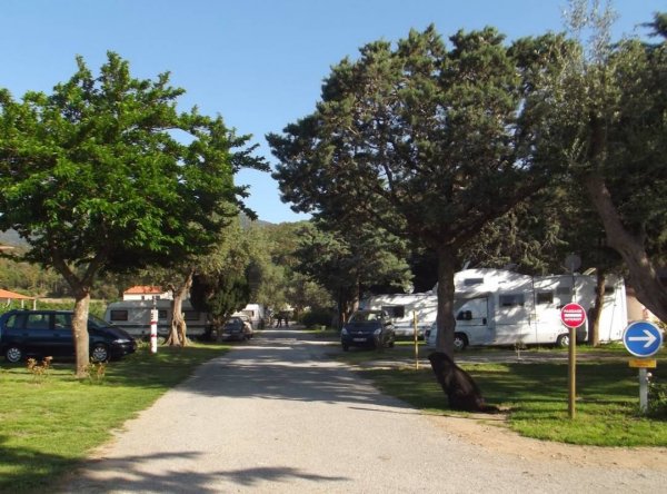 Camping les Oliviers