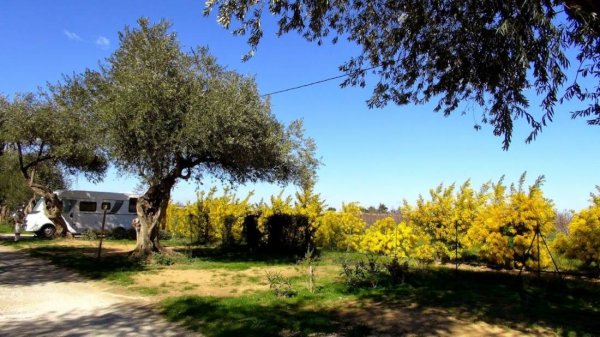 Camping les Oliviers — Foto 3