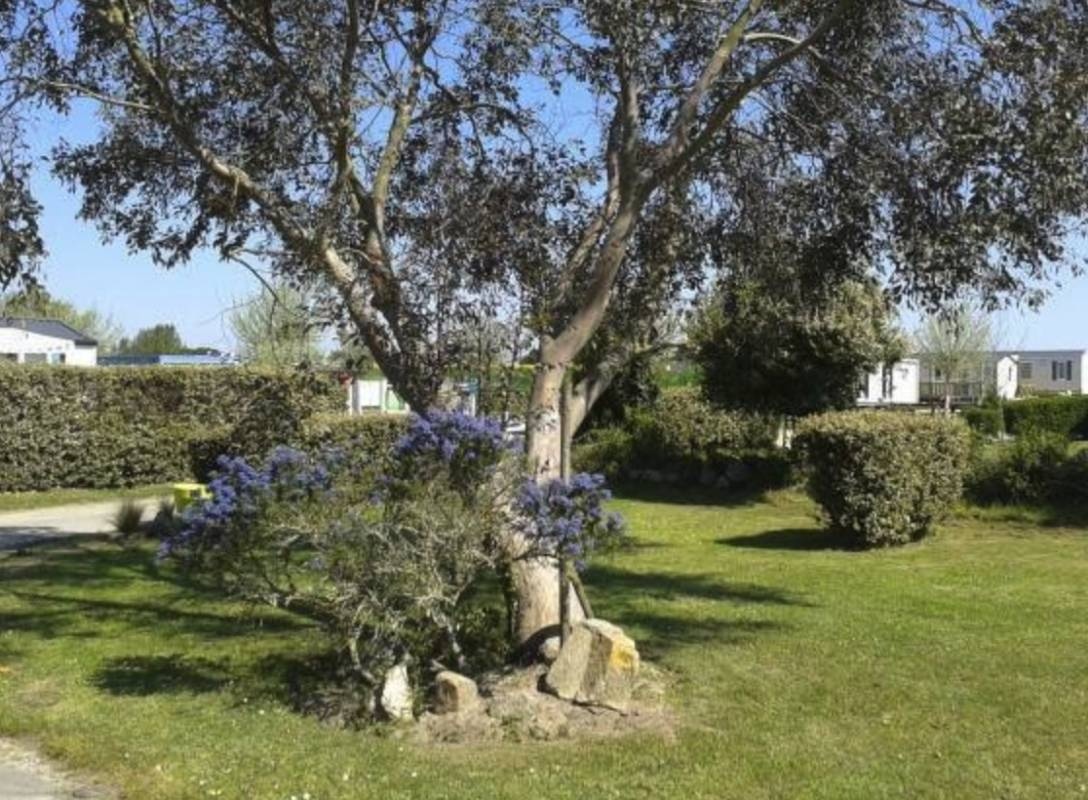 Camping Les Ormeaux ** — Sítio de acampamento in Erdeven