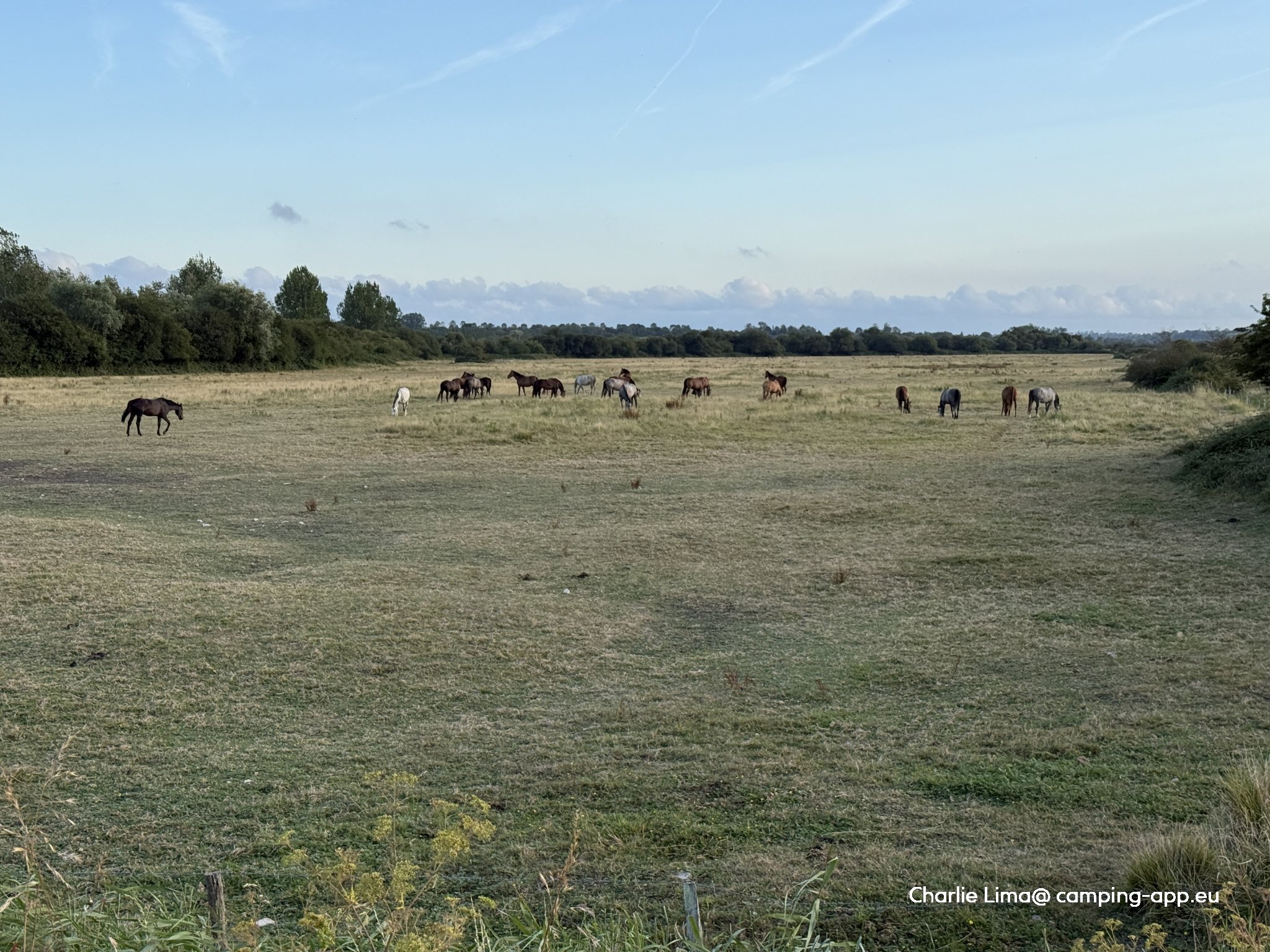 Camping Le Fanal — Foto 6