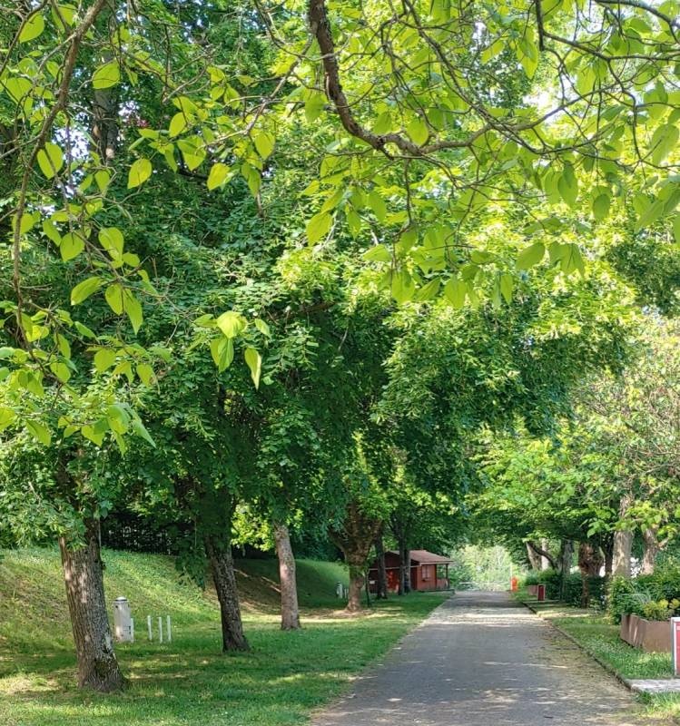 Stellplatz Lunéville, Les Bosquets — Campingplats in Lunéville