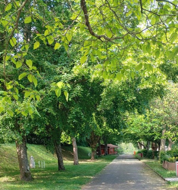 Stellplatz Lunéville, Les Bosquets — Photo 3