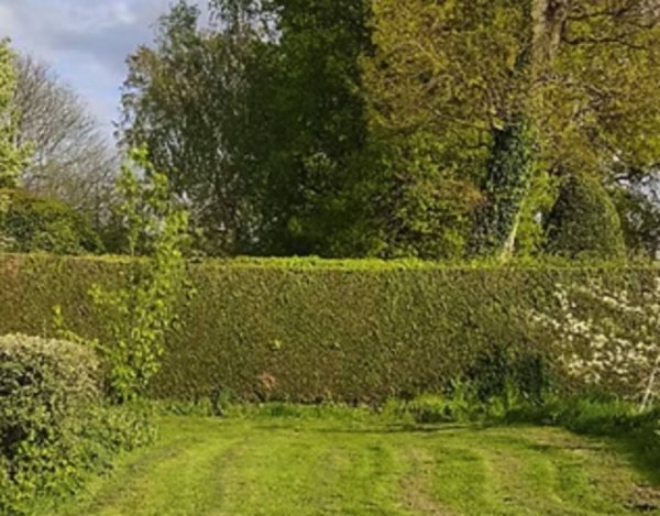 Camping les Bruyères ** — Photo 2