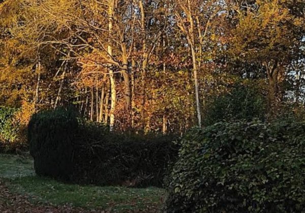 Camping les Bruyères **