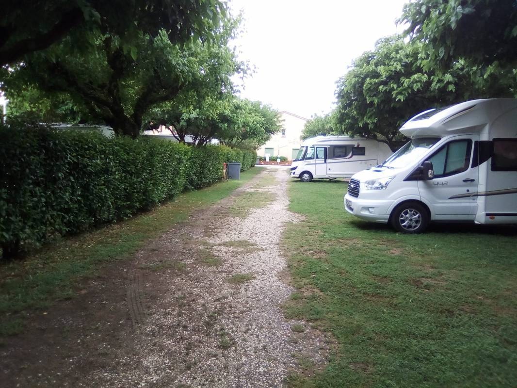 Camping les citronniers — Campingplass in Le Lavandou / Provence-Alpes-Côte d'Azur