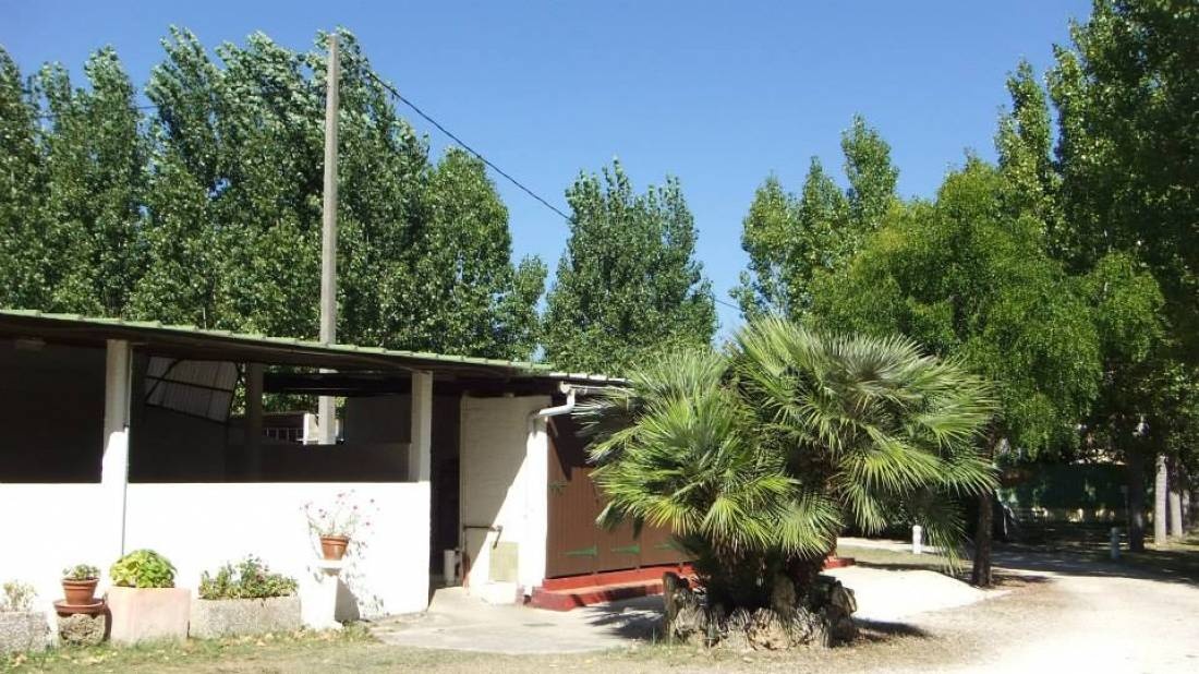 Camping des Treilles — Camping Site in Antibes