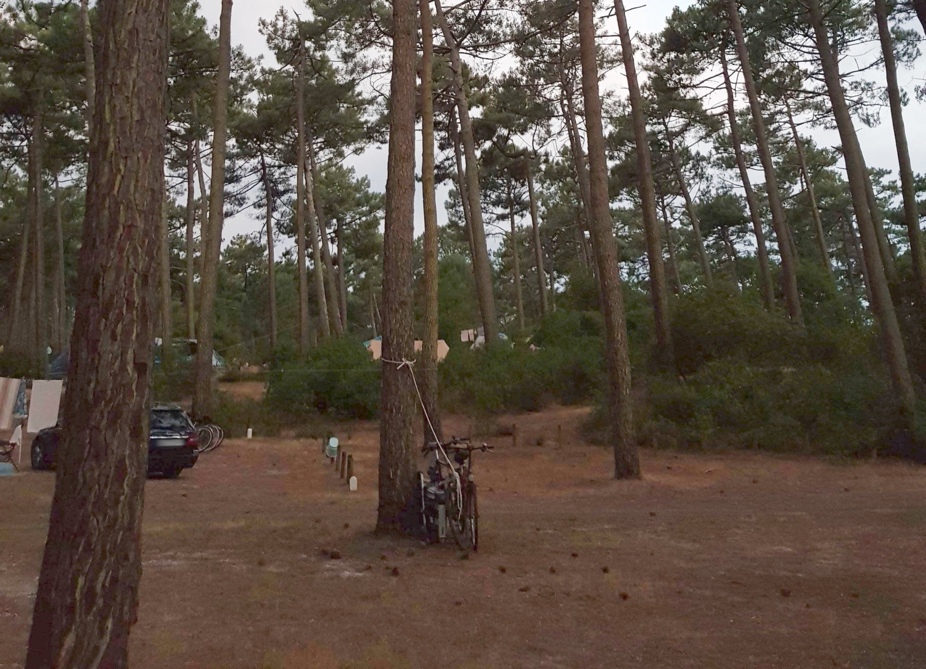 Camping La Grigne — Campingplads in Le Porge / Nouvelle-Aquitaine