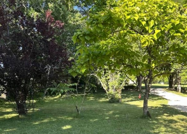 Camping Les Cimes du Périgord — Photo 2