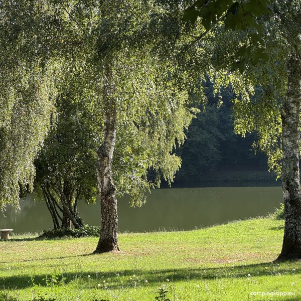 Camping Domaine De Lascaux — Photo 6