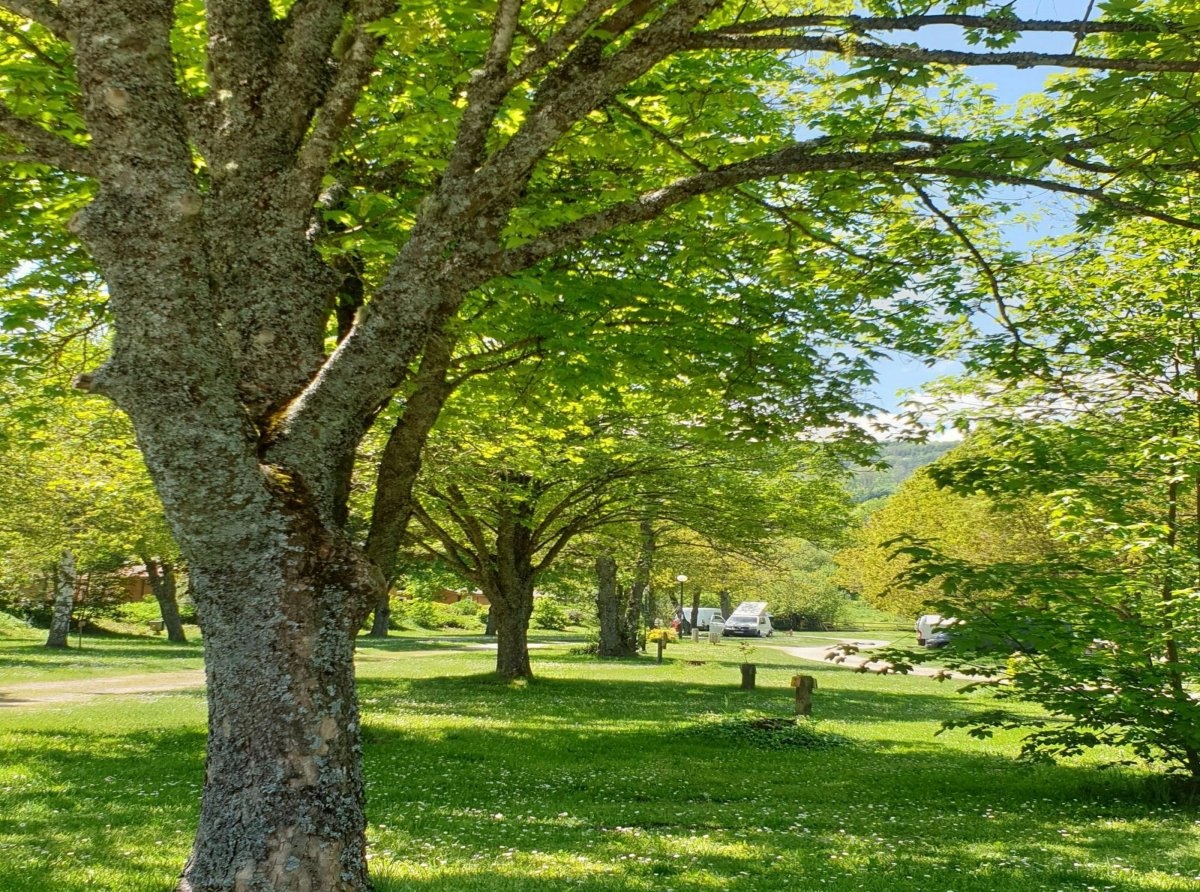 Ser Sirant Camping — Camping in Saint-Théoffrey / Auvergne-Rhône-Alpes