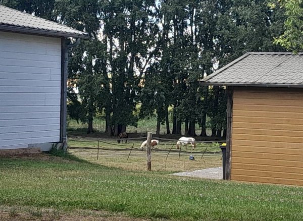 Camping à la Ferme de Secouray — Photo 2