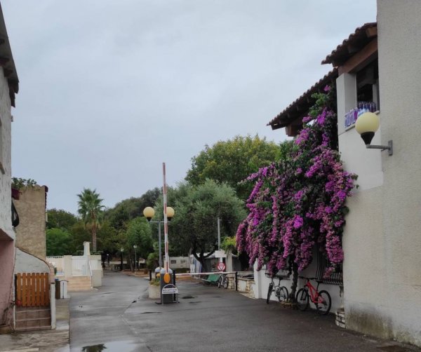 Camping La Rivière ** — Photo 4