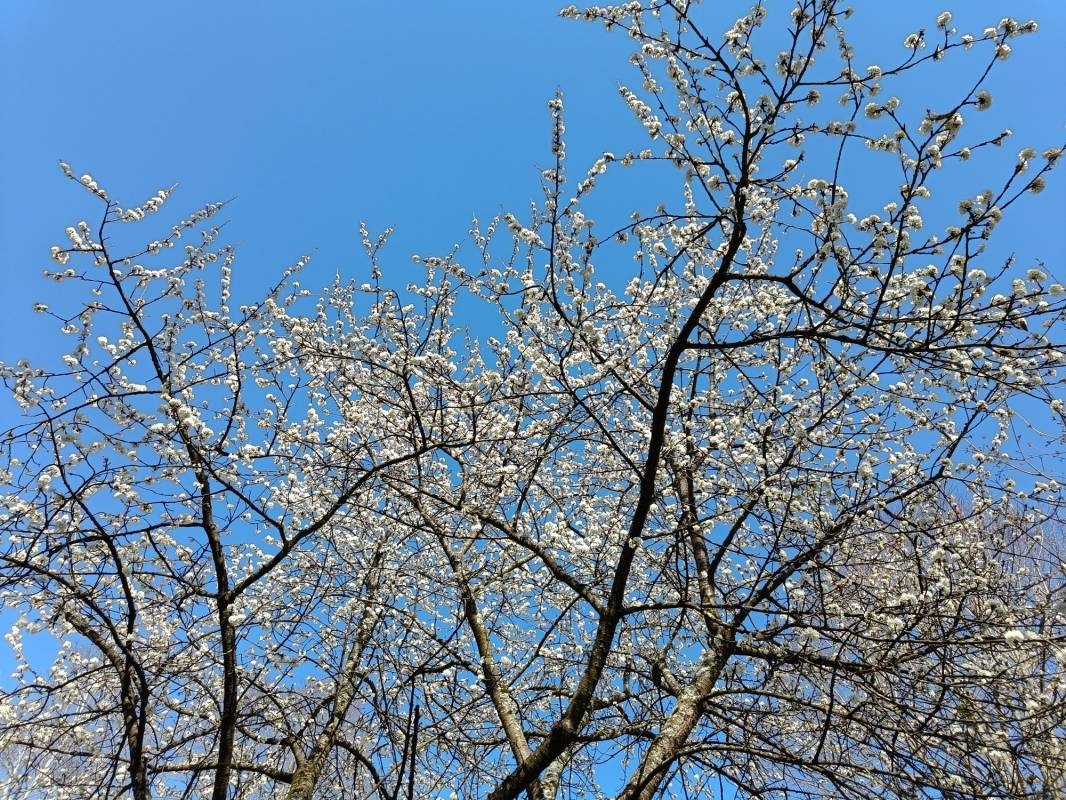 Camping Roucateille *** — Campingplats in Montgailhard / Occitanie