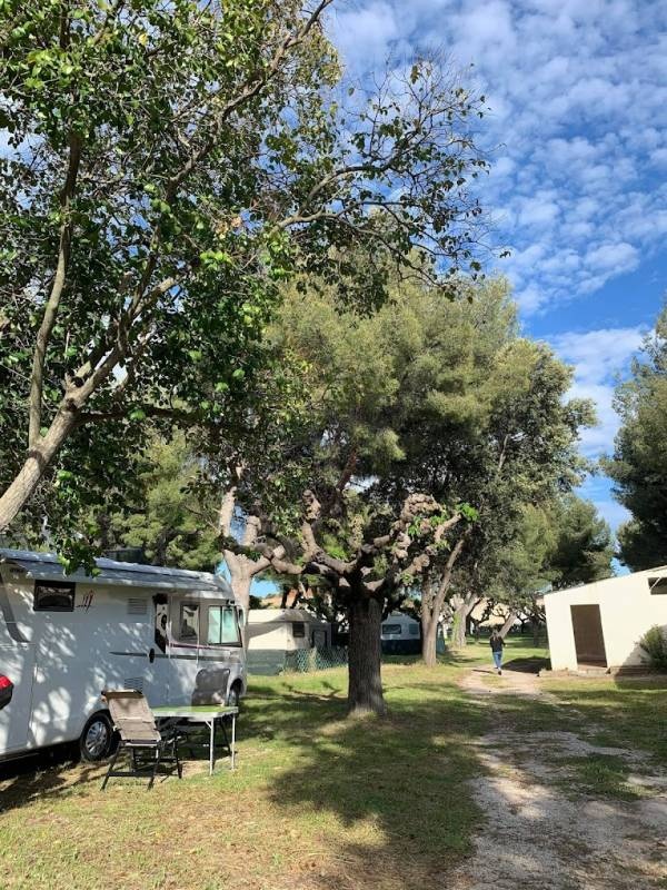 Camping La Sauge — Campingplats in La Ciotat