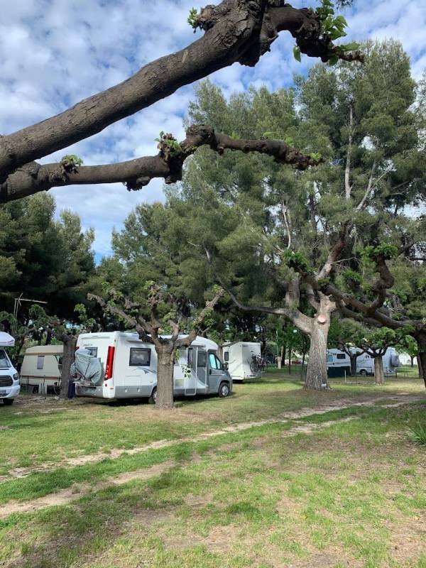 Camping La Sauge — Photo 2