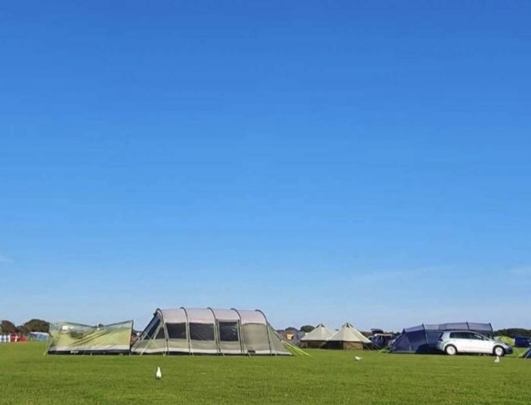 Scotts Farm Camping Site — Campingplads in West Wittering