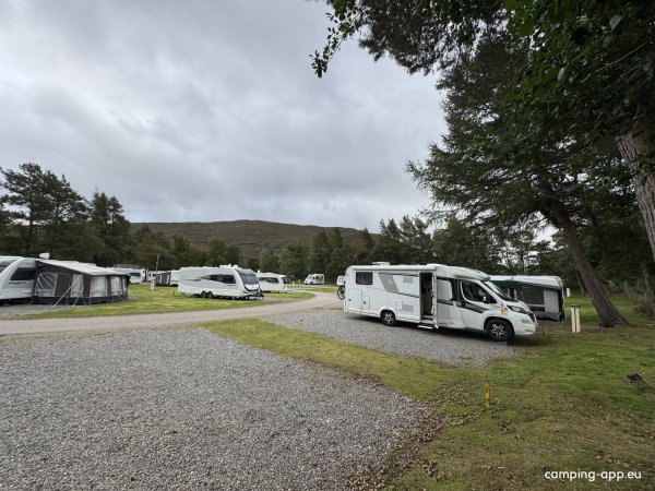 Braemar Caravan Park — Photo 3