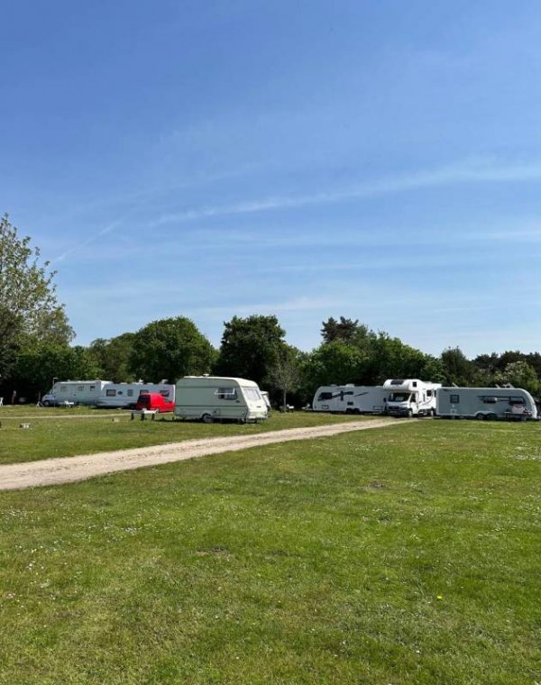 Shamba Holidays — Photo 2